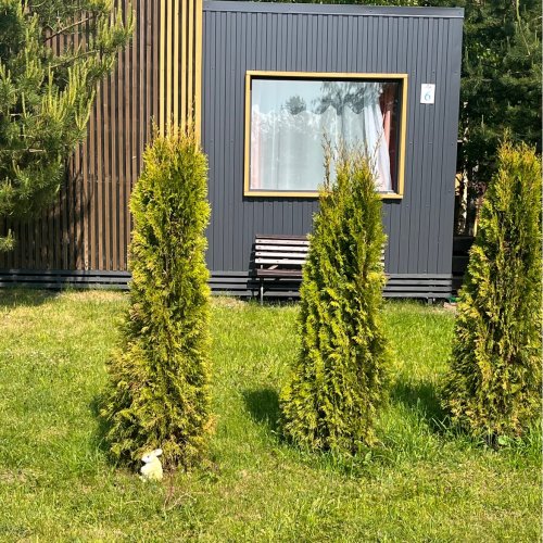 Гостевой дом у залива, фото 55