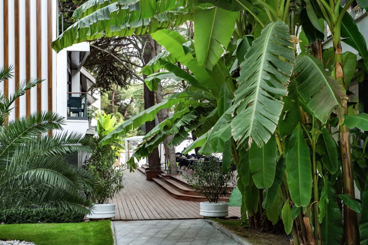 Парк-отель Московский, фото 65