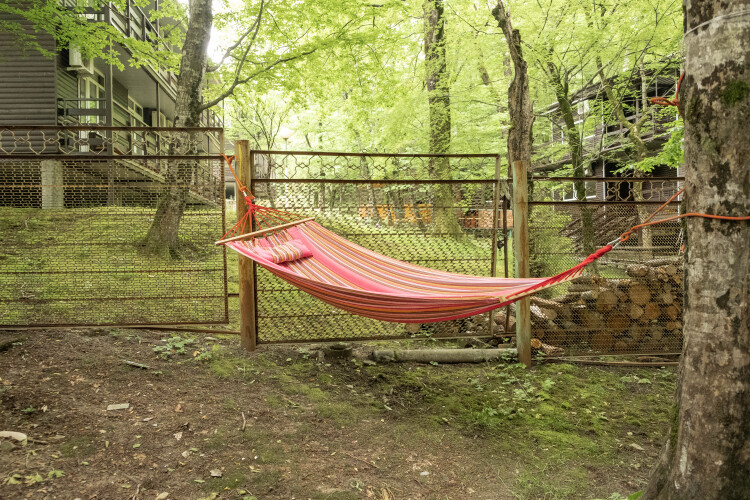 База отдыха Юг Турист, фото 63