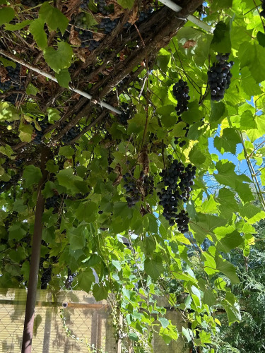 Гостевой дом У Рыбного двора, фото 26