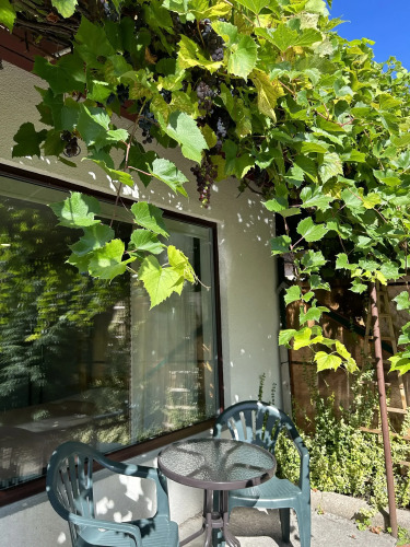 Гостевой дом У Рыбного двора, фото 27