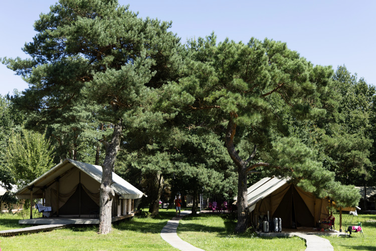 Глэмпинг Малина, фото 39