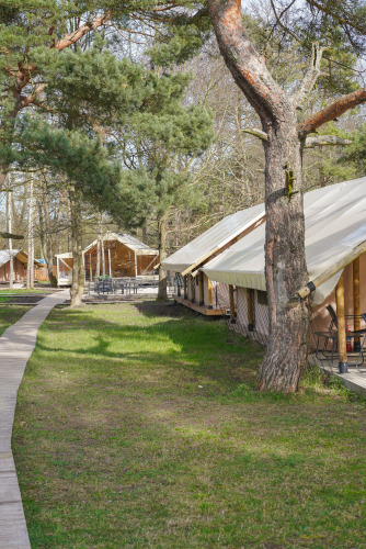 Глэмпинг Малина, фото 42