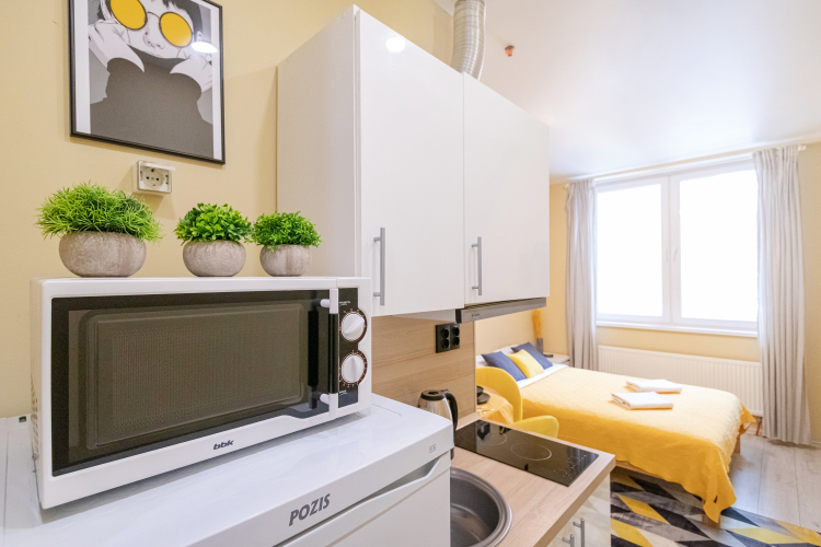 Апартаменты Vnukovo, фото 76