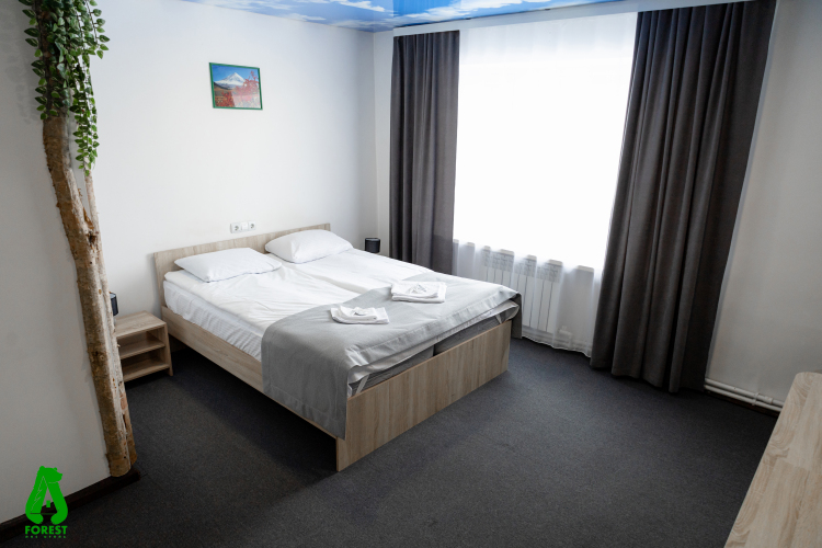 Отель Forest, фото 11