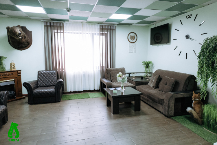 Отель Forest, фото 12