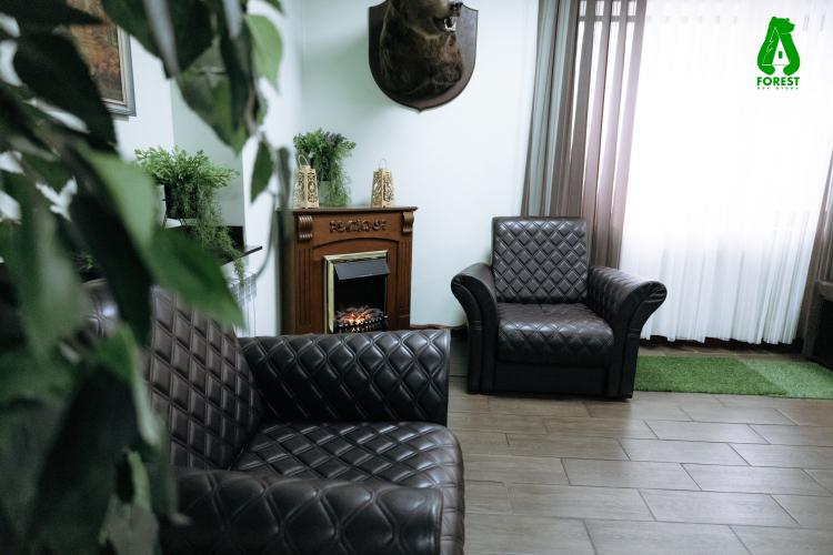 Отель Forest, фото 13