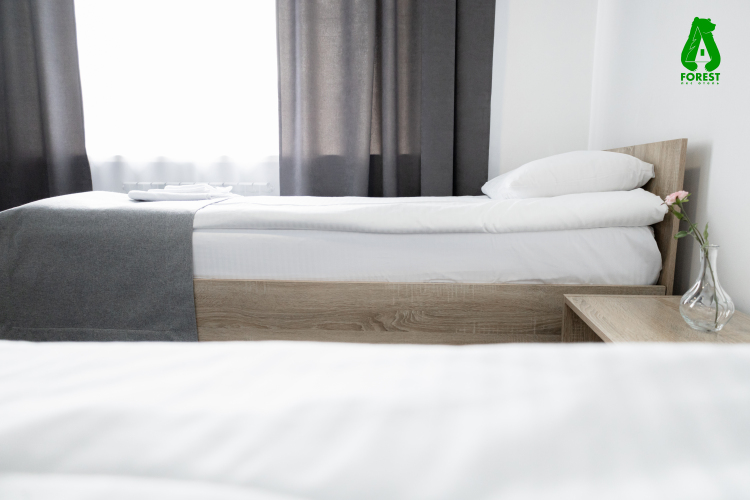 Отель Forest, фото 15