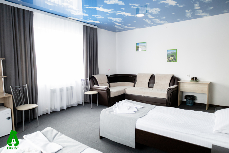 Отель Forest, фото 17