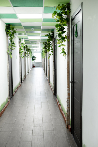 Отель Forest, фото 22