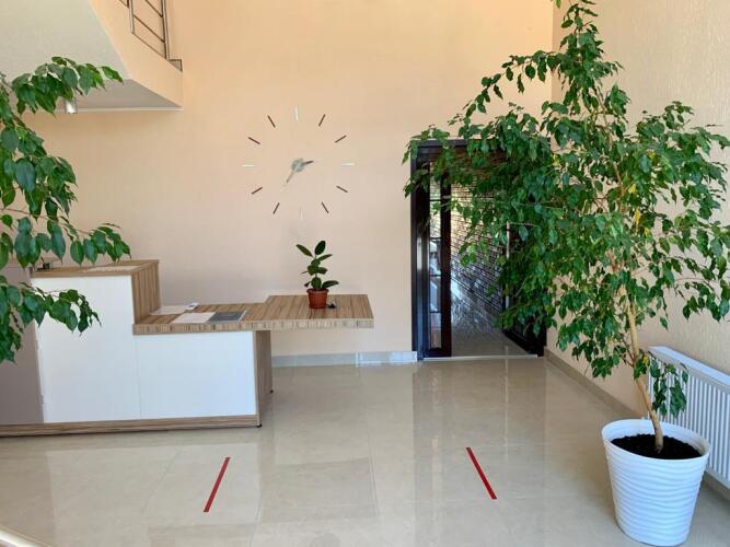 отель Мишель, фото 27