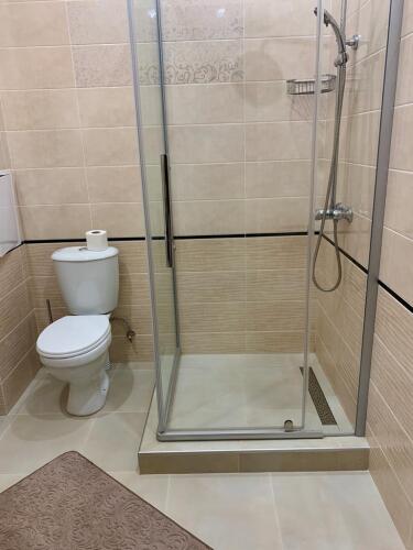 отель Мишель, фото 30