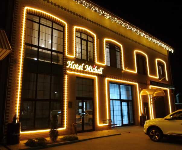 отель Мишель, фото 43