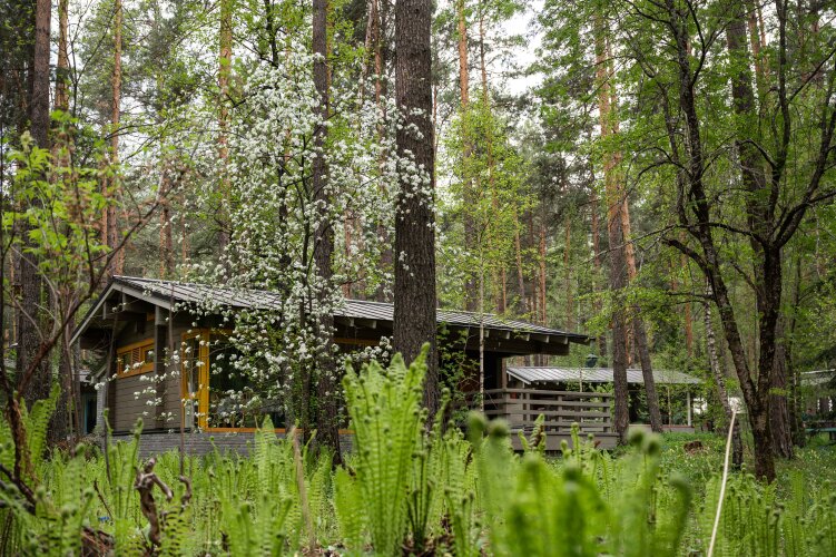 Отель Тэнери, фото 81