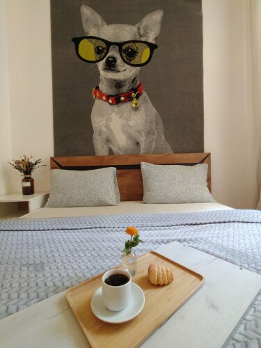 Апартаменты Студия Lucky, фото 19