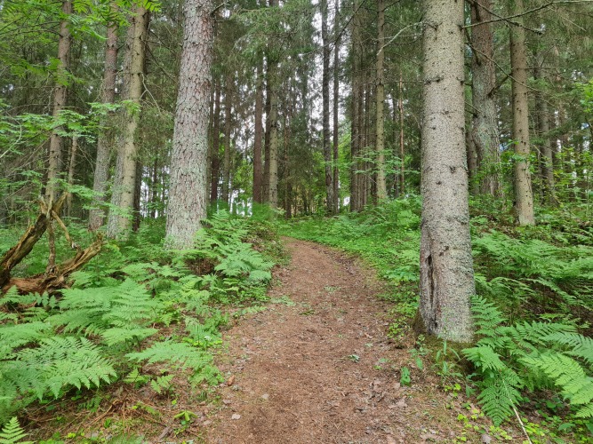 Валдай. Пространство мечты, фото 52