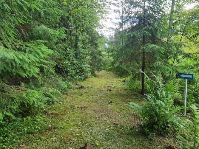 Валдай. Пространство мечты, фото 54