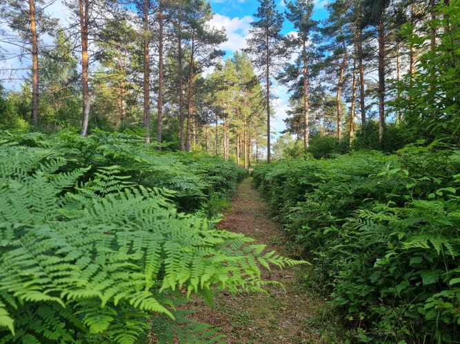Валдай. Пространство мечты, фото 55