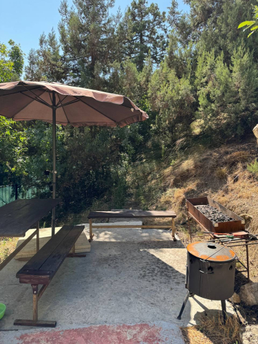 Гостевой Дом Волга в Симеизе, фото 27