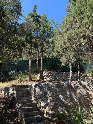 Гостевой Дом Волга в Симеизе, фото 29