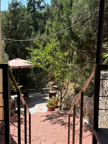 Гостевой Дом Волга в Симеизе, фото 30