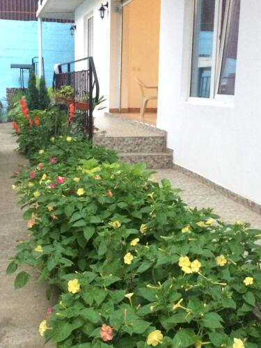 Гостевой дом Бережок, фото 19