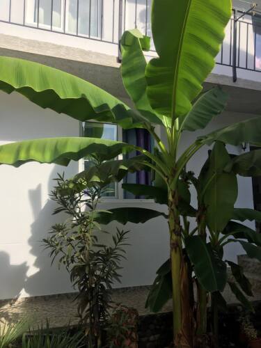 Гостевой дом Бережок, фото 20