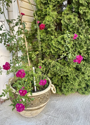 Гостевой дом Жемчужина, фото 20