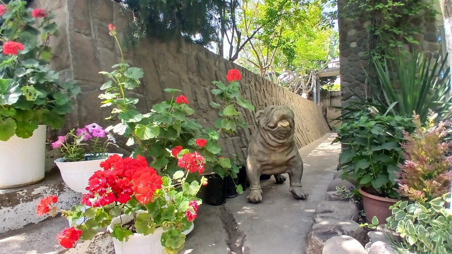 Гостевой дом РАЙ.com, фото 21