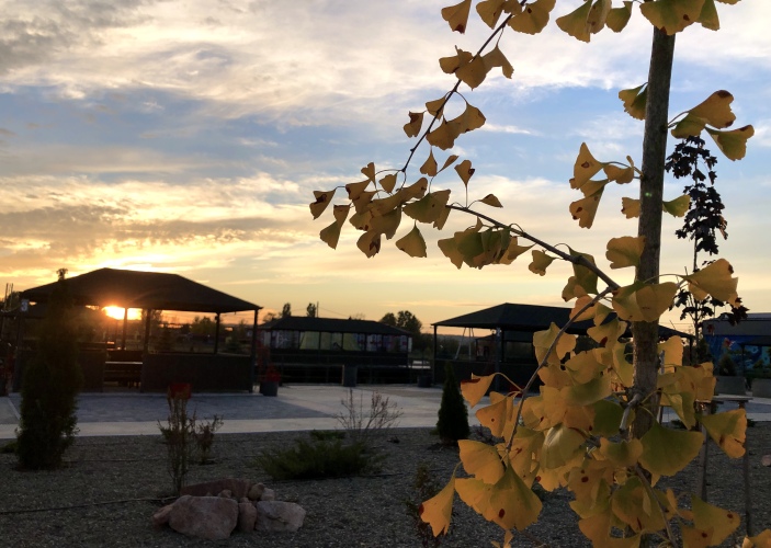 Термальный парк-отель Псыгупс, фото 94