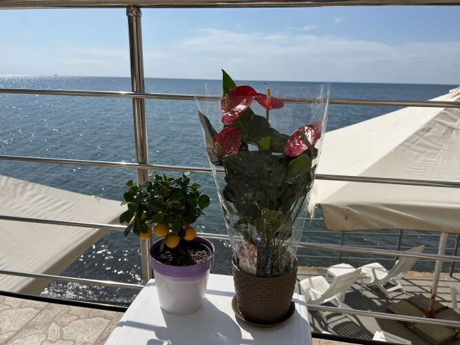 Мини отель De-La-Scuto, фото 46