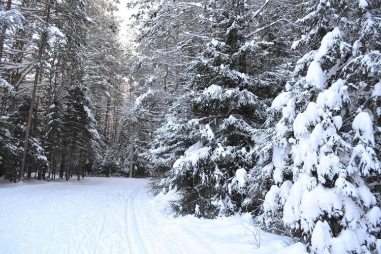 Арслан (Абзаково), фото 79