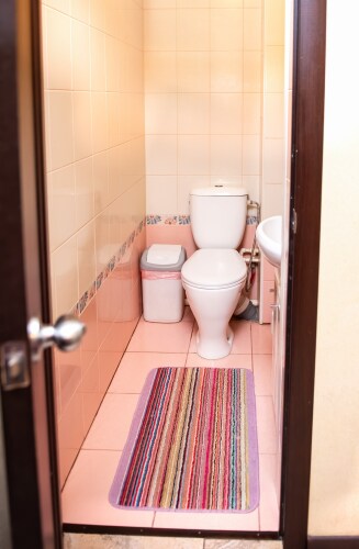 Дом Одеяло, подушка, мангал, фото 48