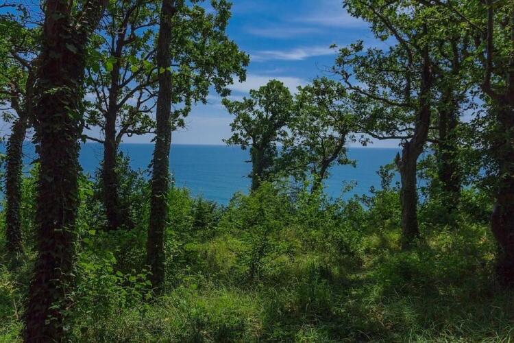 Paradise (Парадиз), фото 53