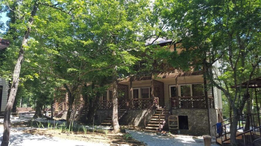 Paradise (Парадиз), фото 54