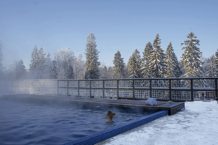 Коттеджи Les Villages Peresvet by Russian Seasons, фото 65