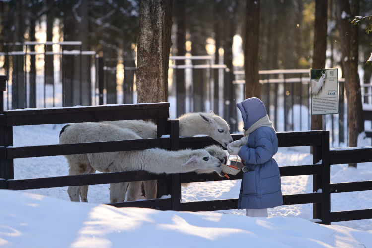 Коттеджи Les Villages Peresvet by Russian Seasons, фото 85