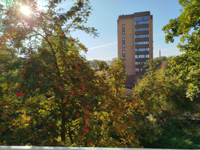 Квартира Гнездо лофт, фото 29