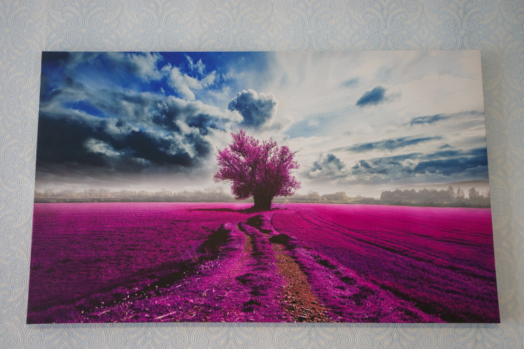 Апартаменты InnDays Новомосковская 12, фото 18