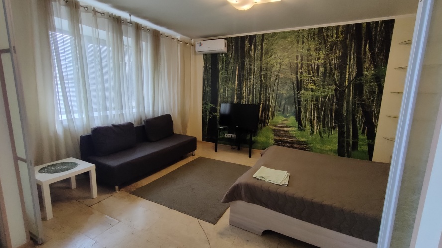 Апартаменты Kvartal на Неделина полустудия, фото 14