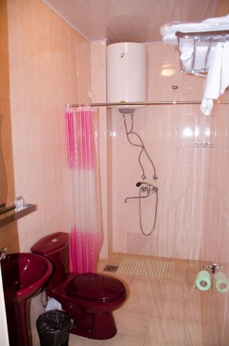 Бизнес-отель, фото 63