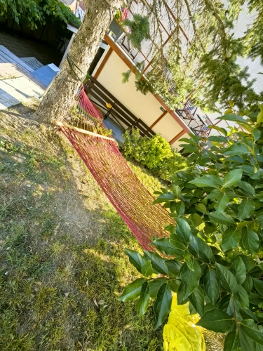 Гостевой дом на Солнечной 13, фото 38