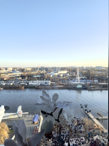 Апартаменты Abramov у Музея Мирового Океана, фото 48