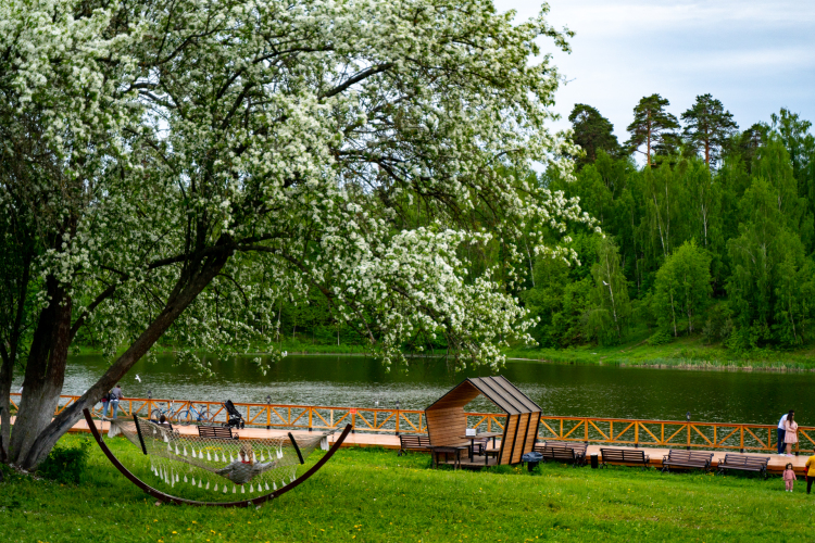 Загородный клуб Усадьба Гребнево, фото 41