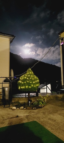 Гостевой дом Ореховый 13 Пляхо, фото 26