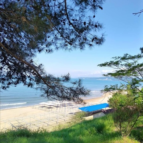 Гостевой дом Ореховый 13 Пляхо, фото 28