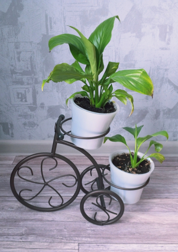 Апартаменты На Луначарского 14 Плес, фото 14