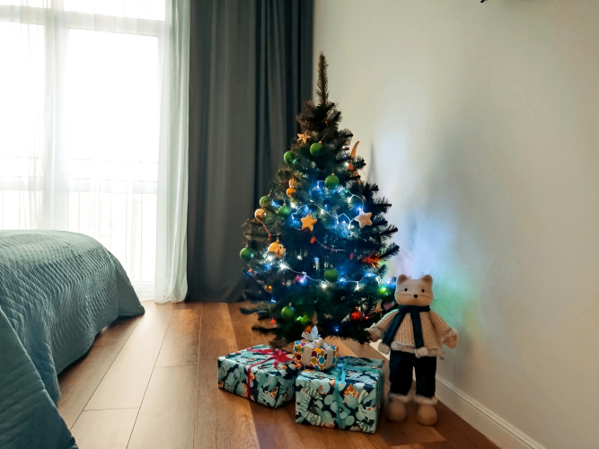 Апартаменты Арка, фото 54