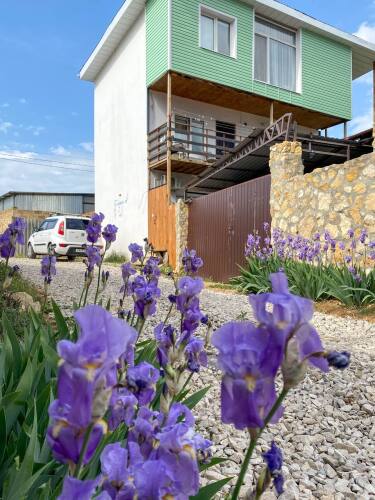 Гостевой дом Астра, фото 46