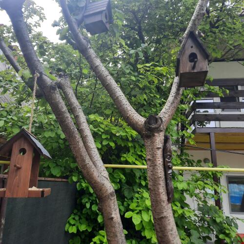 Гостевой дом на Горького, фото 72